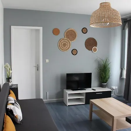 Cosy F2 Basel Saint-Louis Appartement Buitenkant foto